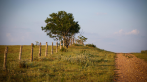 Texas Ranch Homes