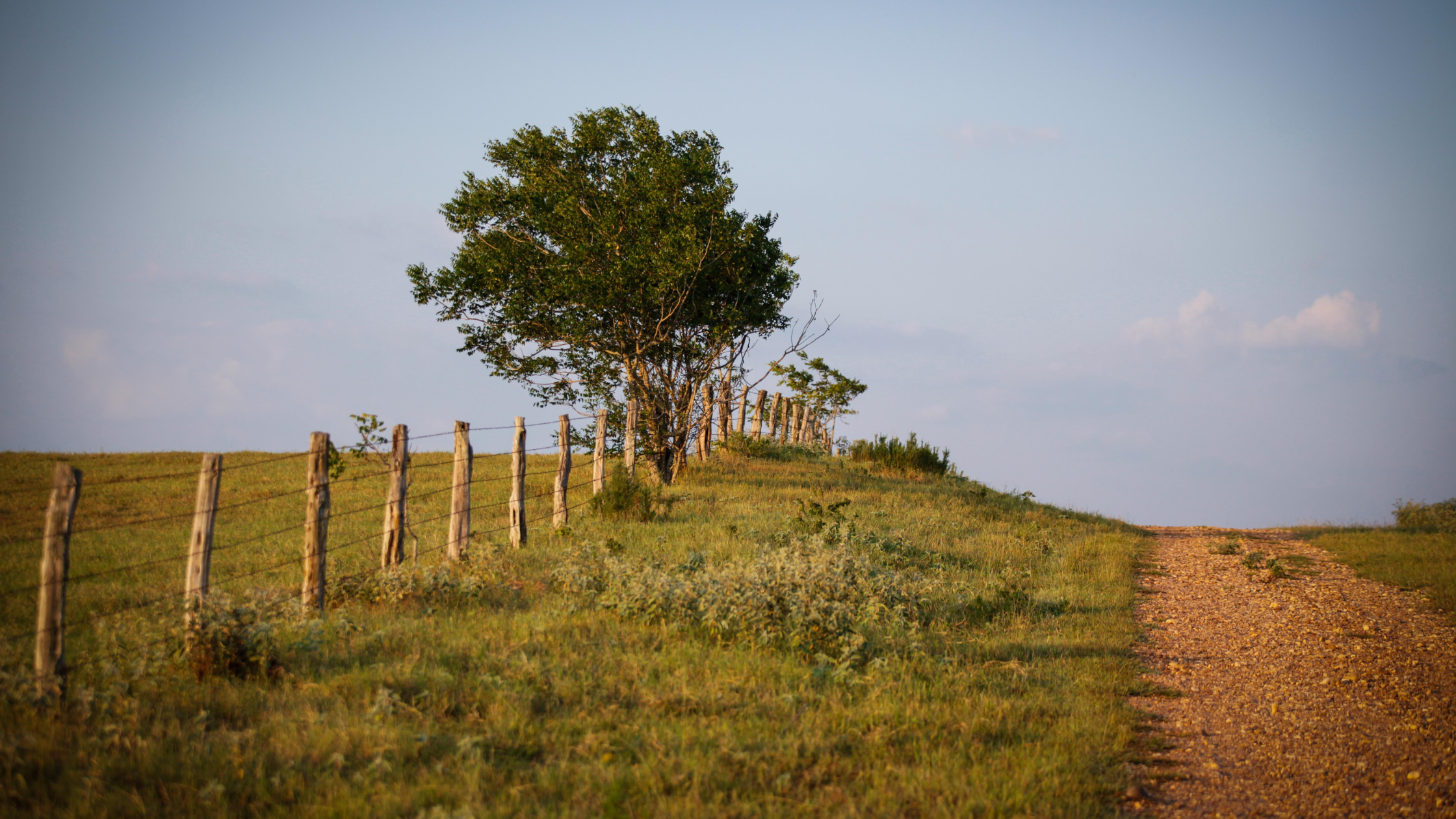Texas Ranch Homes